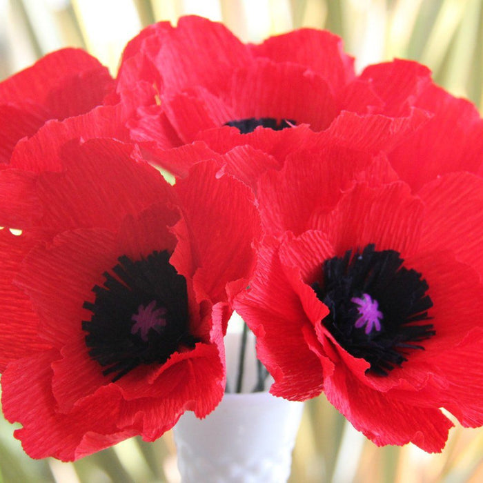 Poppy - The Flower of Remembrance - Veterans Day