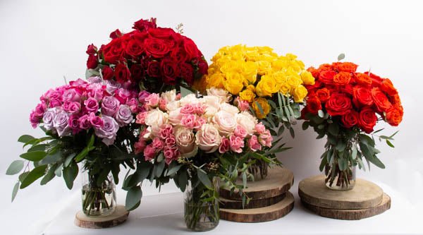 All About Roses - Year round specials -