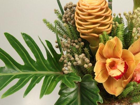 Tropical - Exotic Flowers Collection