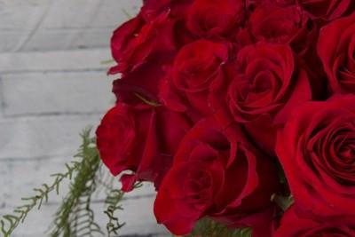 All About Roses This Valentines Day
