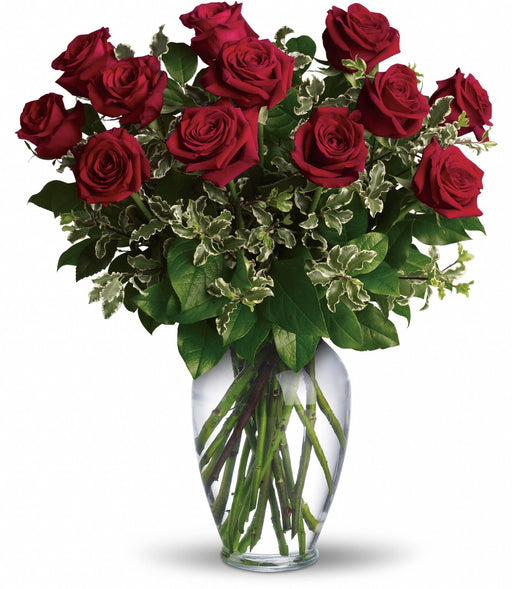 12 red roses - valentines day - twelve roses delivery miami -valentines roses delivery hialeah 