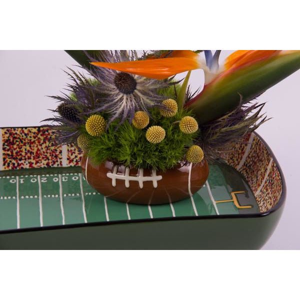 Chip & Dip Treat - American Football Floral Arrangement