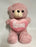 Pink LOVE Teddy Bear