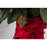 A hundred Rubies - flowersbypouparina.com