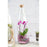 Bottle Terrarium - flowersbypouparina.com