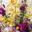 Burlesque - flowersbypouparina.com