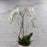 Double White Swans - flowersbypouparina.com
