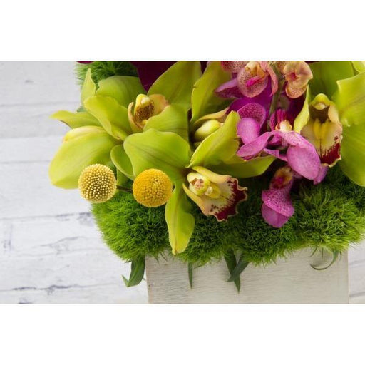 In Fashion Orchids - flowersbypouparina.com