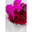 In Love Coquette - flowersbypouparina.com