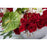 Marrasquino - flowersbypouparina.com