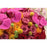 Miami Vibes - flowersbypouparina.com