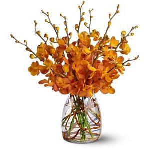 Orchid Embers - flowersbypouparina.com