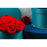 Preserved Roses - Coral - flowersbypouparina.com