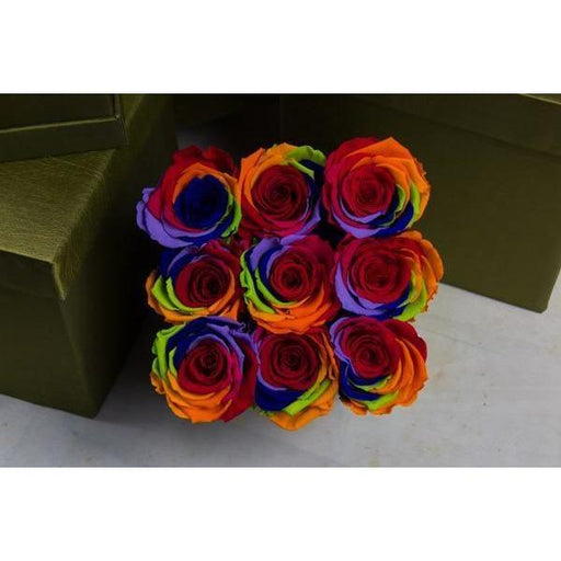 Preserved Roses - Rainbow - flowersbypouparina.com