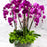 Purple Swan Orchids and Pothos - flowersbypouparina.com