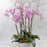 Quiet Breeze Orchids - flowersbypouparina.com