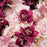 a floral arragements with orchids and roses  - flowersbypouparina.com