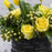 The Message Box Flowers - flowersbypouparina.com