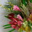 Tropical Opulence - flowersbypouparina.com