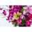 Watercolor - flowersbypouparina.com